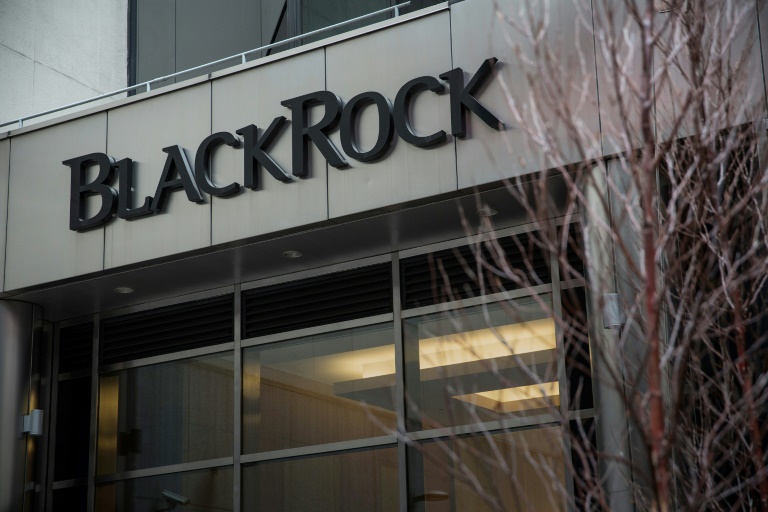 BlackRock: “el sector público debe liderar la movilización de capital hacia los mercados emergentes para lograr los objetivos climáticos globales”
