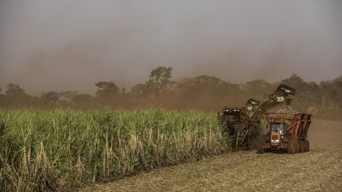 Brasil Biofuels producirá gasóleo verde en la Amazonía
