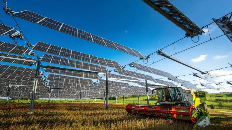 «Agrovoltaicos»: Paneles solares inteligentes para la producción de alimentos