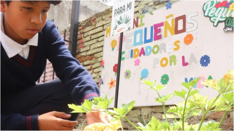 Bupa Global Latinoamérica revela el programa «Huellas de Cambio» para las escuelas de la región