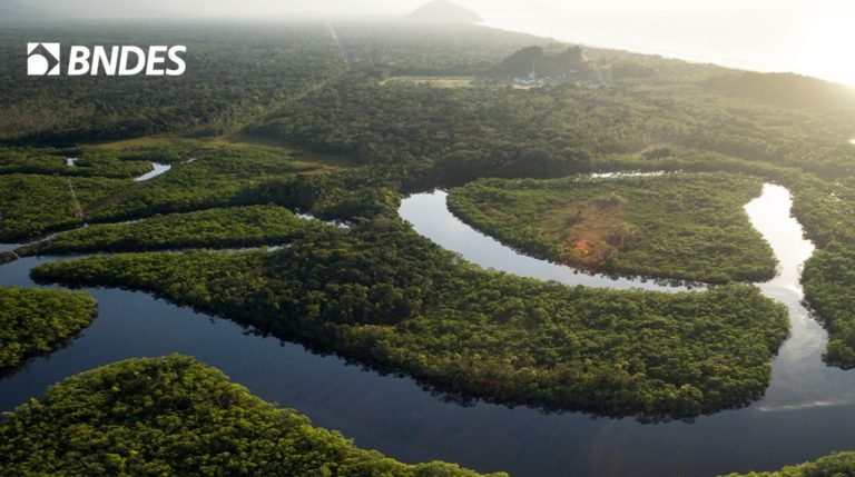 BNDES y SFB pactan acuerdo de concesión forestal en la Amazonía
