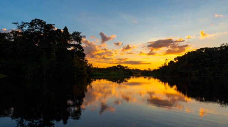 Fondo Amazonía cuenta con recursos de EE.UU. para luchar ante el cambio climático