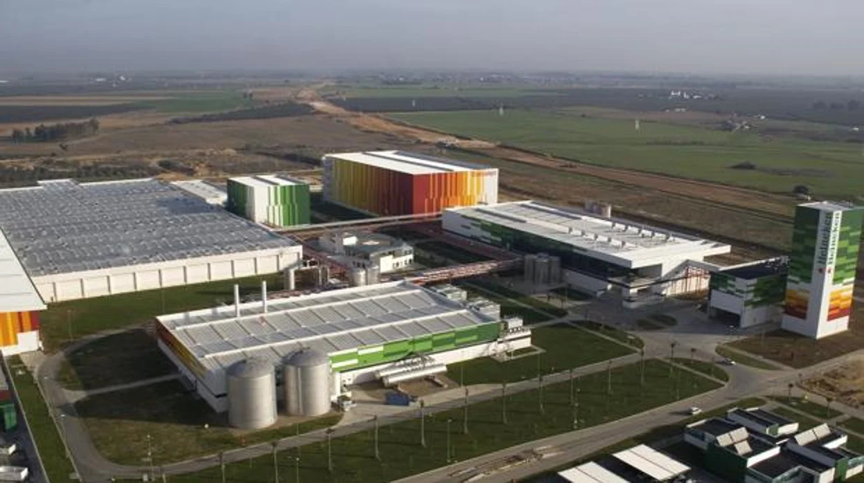 Heineken
