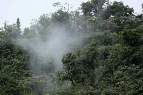 Costa Rica podrá optar por más recursos para promover el desarrollo sostenible