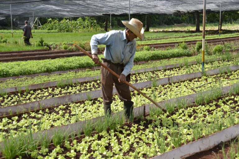 Implementación de la tecnología será clave para una agricultura sostenible en América Latina