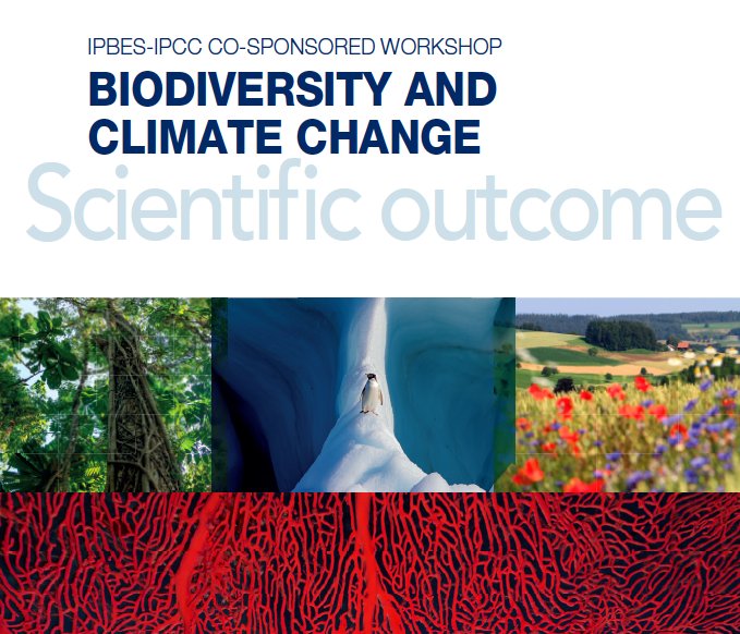 cambio-climatico-y-la-perdida-de-biodiversidad-deben-abordarse-juntos-no-por-separado