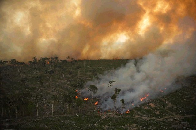 colombia-penaliza-la-deforestacion-tras-aprobar-una-ley-historica