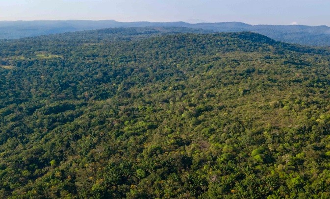 Colombia tendrá un mapa de vegetación