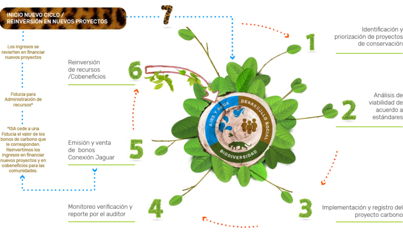conexion-jaguar-el-proyecto-de-isa-para-mitigar-el-cambio-climatico