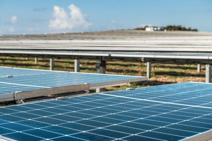 EGE Haina inaugura el Parque Solar Girasol