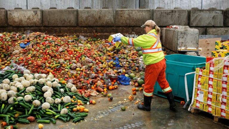WWF reporta un aumento preocupante en el desperdicio de alimentos a nivel global
