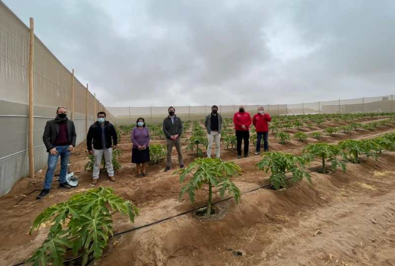corfo-lanza-programa-tecnologico-para-potenciar-la-agricultura-en-zonas-deserticas
