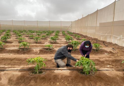 corfo-lanza-programa-tecnologico-para-potenciar-la-agricultura-en-zonas-deserticas