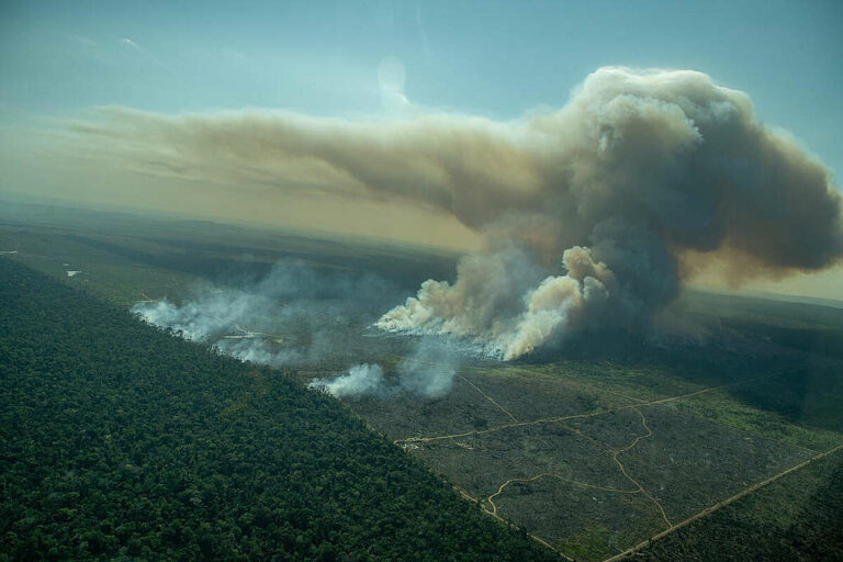Nuevas imágenes de incendios ilegales en la Amazonía muestran otro año de deforestación histórico
