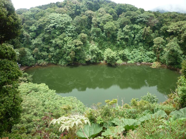 Costa Rica crea mapas de los ecosistemas prioritarios para planificar la adaptación al cambio climático