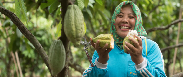 Mondelez aboga por el abastecimiento sostenible de cacao con el programa ‘Cocoa Life’