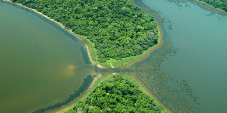 WWF: “La seguridad alimentaria mundial en riesgo por las crecientes amenazas a los ríos”