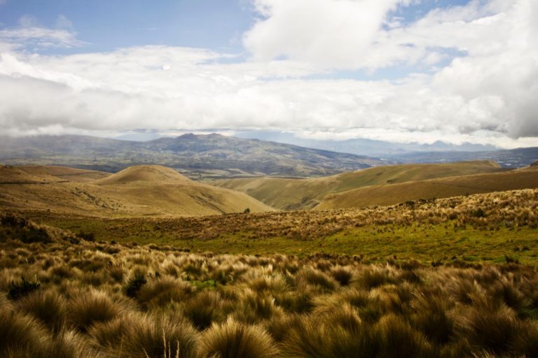Ministerio de Ambiente pone en marcha el Programa Ecuador Carbono Cero