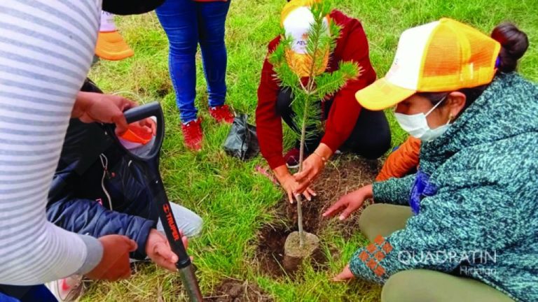 Atlas Renewable Energy apoya reforestación en Nopala y siembra 1.500 árboles