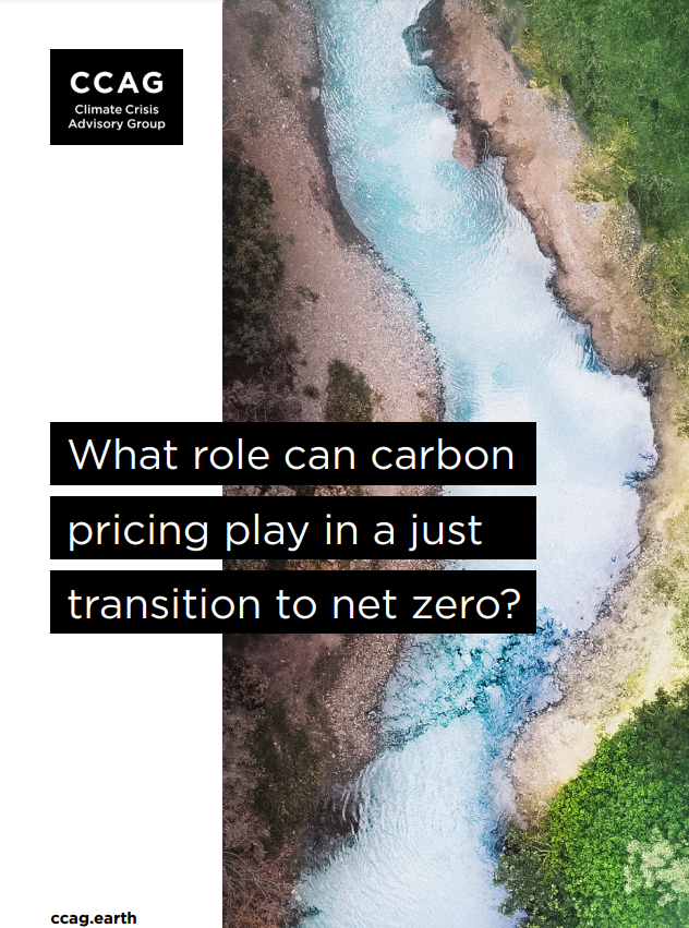 expertos-en-clima-plantean-siete-demandas-de-precios-del-carbono-a-los-lideres-mundiales