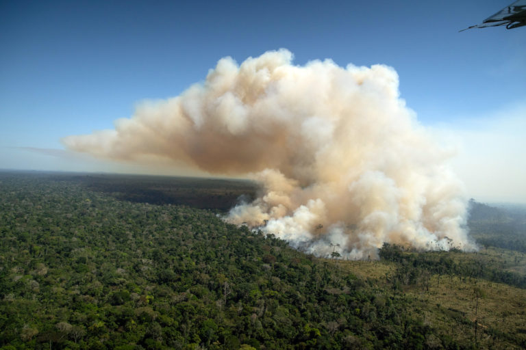 Greenpeace: Tasa de deforestación amazónica es la más alta desde 2006
