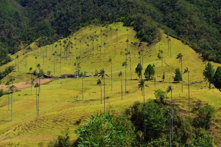 Congreso colombiano aprueba Ley de Acción Climática