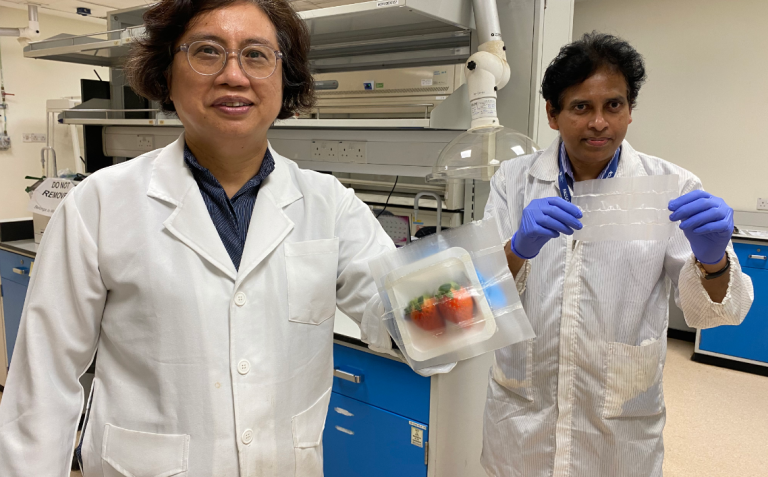 Científicos desarrollan empaques “inteligentes” para alimentos