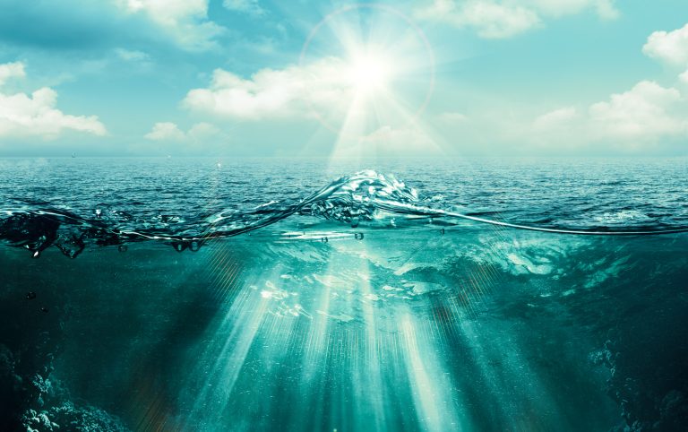 Estudio afirma que los océanos se asfixian lentamente por el cambio climático