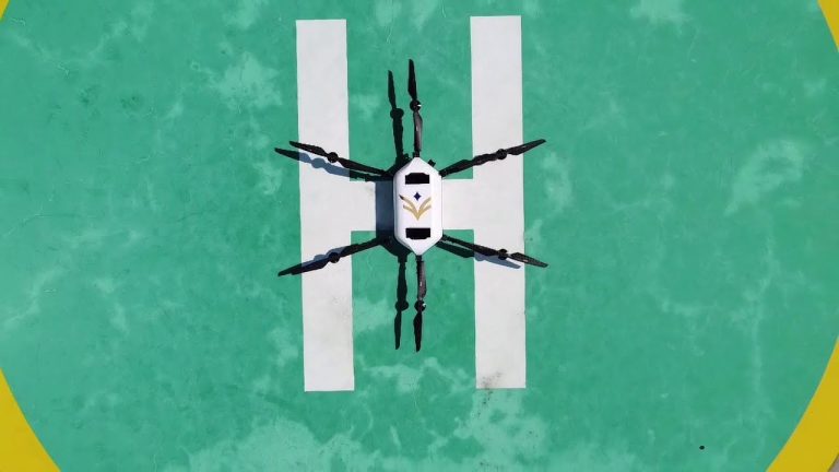 Marco Polo Marine y F-drones desarrollarán drones a gran escala para parques eólicos en alta mar