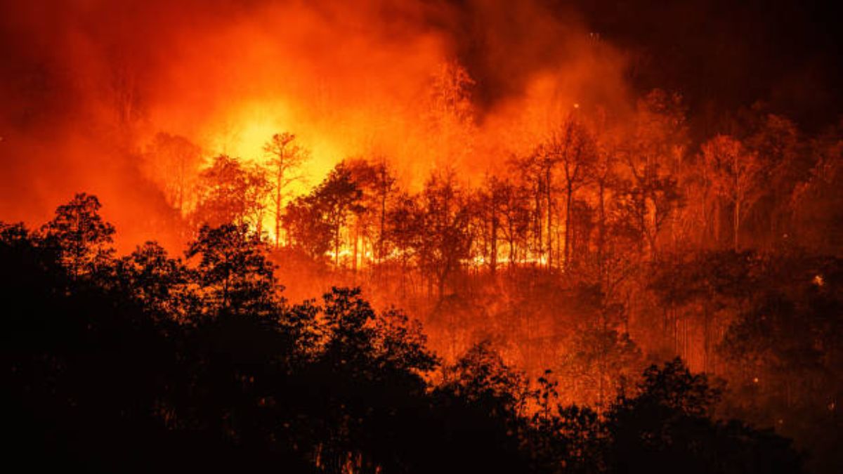 ONU: El planeta podría sufrir más de una catástrofe diaria…