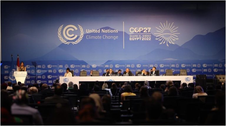 “COP 27: Decepción en las expectativas y acuerdos in extremis”