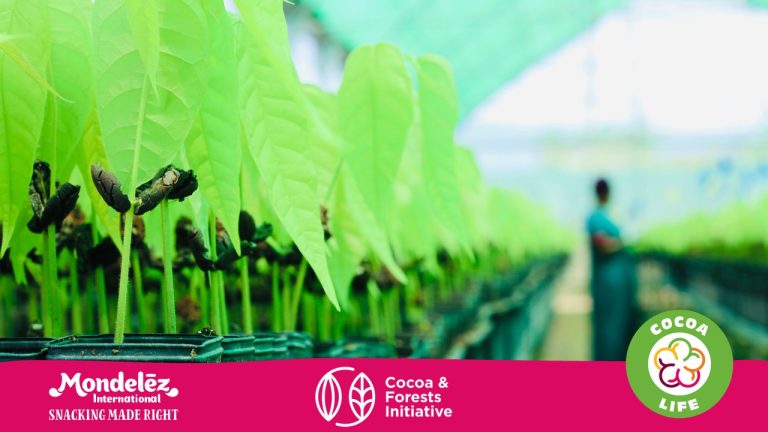 Mondelēz International eleva a 1.000 millones de dólares la inversión en iniciativas de cacao sostenible