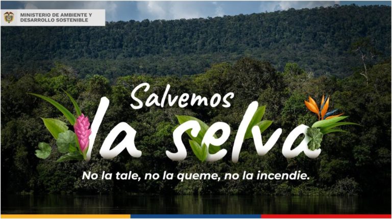 Colombia lanza la campaña “Salvemos la Selva”
