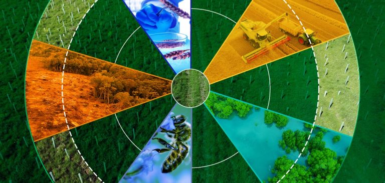 MSCI anuncia nuevas herramientas para identificar empresas en riesgo de biodiversidad y deforestación