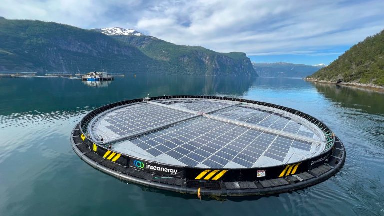 Nueva alianza para descarbonizar la acuicultura mediante energía solar flotante