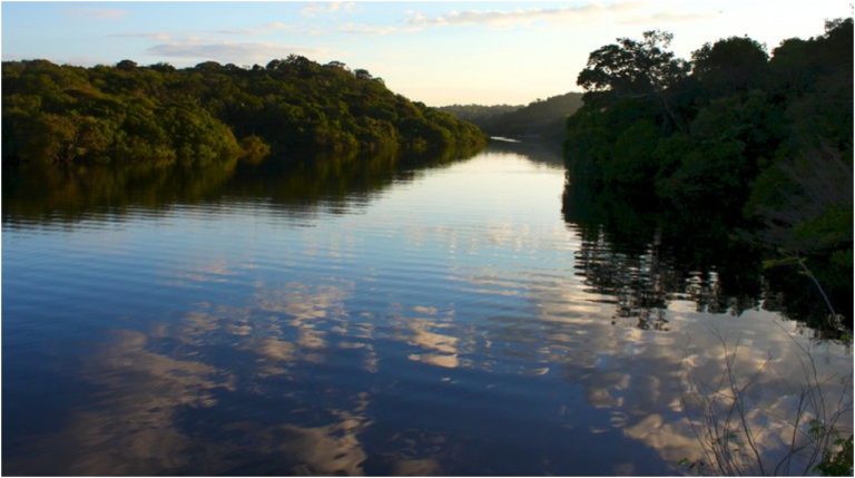 Brasil refuerza su compromiso con la protección de la Amazonía