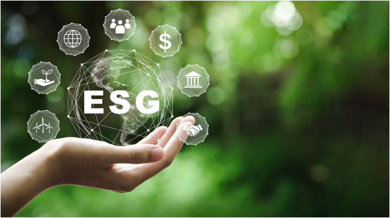 ¿Qué son los criterios ESG? Origen e importancia