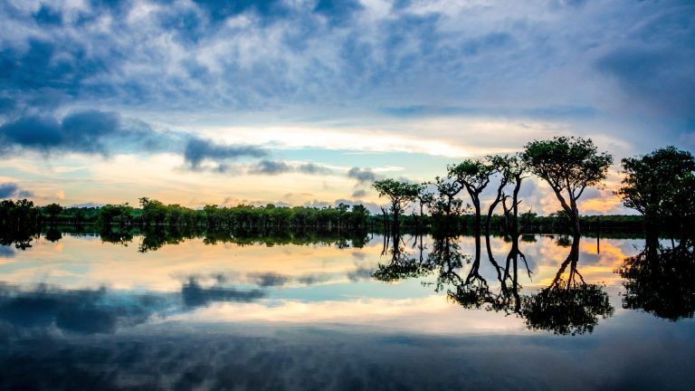 La importancia de la Amazonía en la lucha contra el cambio climático