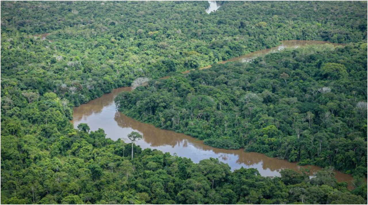 EE.UU. dona R$ 2.500 millones al Fondo Amazonía
