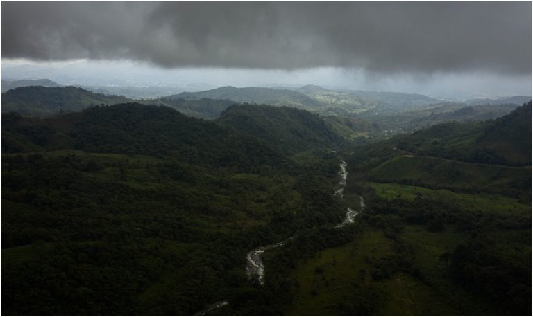 Reportan 25% de disminución en la deforestación de la Amazonía en Colombia