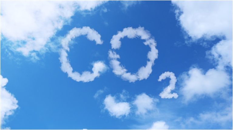 Qué son los créditos de carbono y cómo ayudan ante el cambio climático