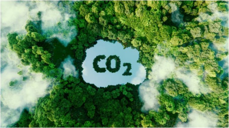 Cómo se compensan las emisiones de carbono