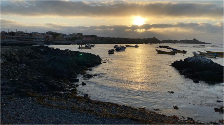 Aprobada ampliación del Área Marina Costera Protegida Archipiélago de Humboldt en Chile