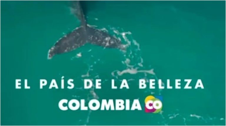 Colombia lanza campaña para promover la inversión extranjera bajo estándares sostenibles