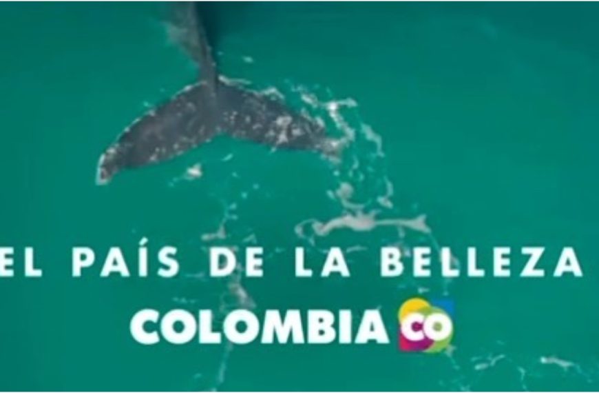Colombia lanza campaña para promover la inversión extranjera…
