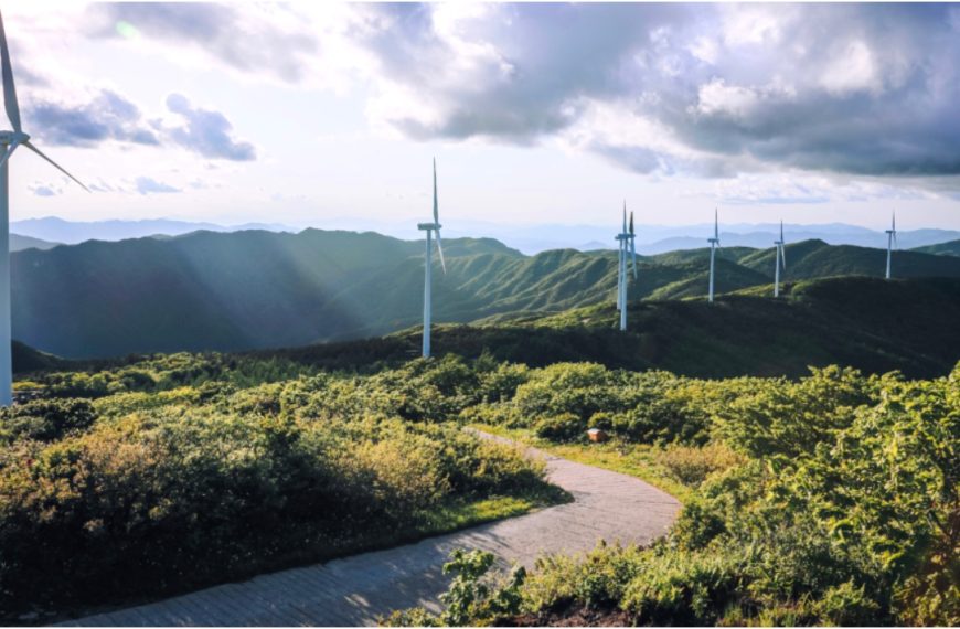 Atlas Renewable Energy revela sus perspectivas sobre las energías renovables en Chile
