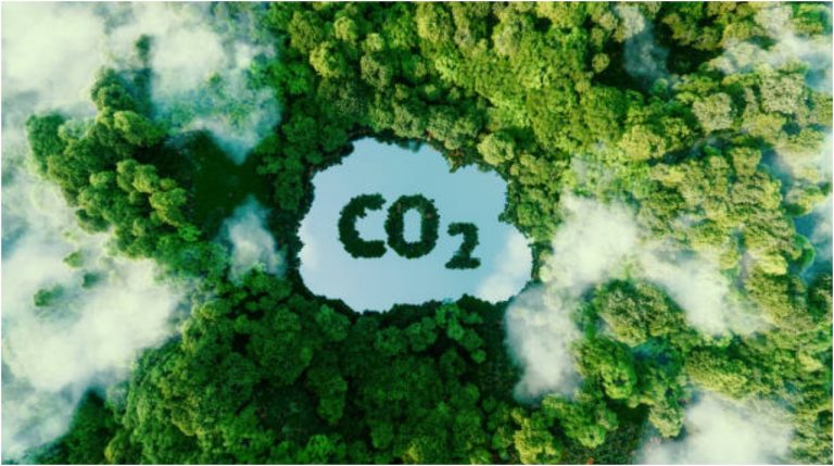 Estudio: El biocarbón ofrece un camino acelerado hacia la descarbonización global