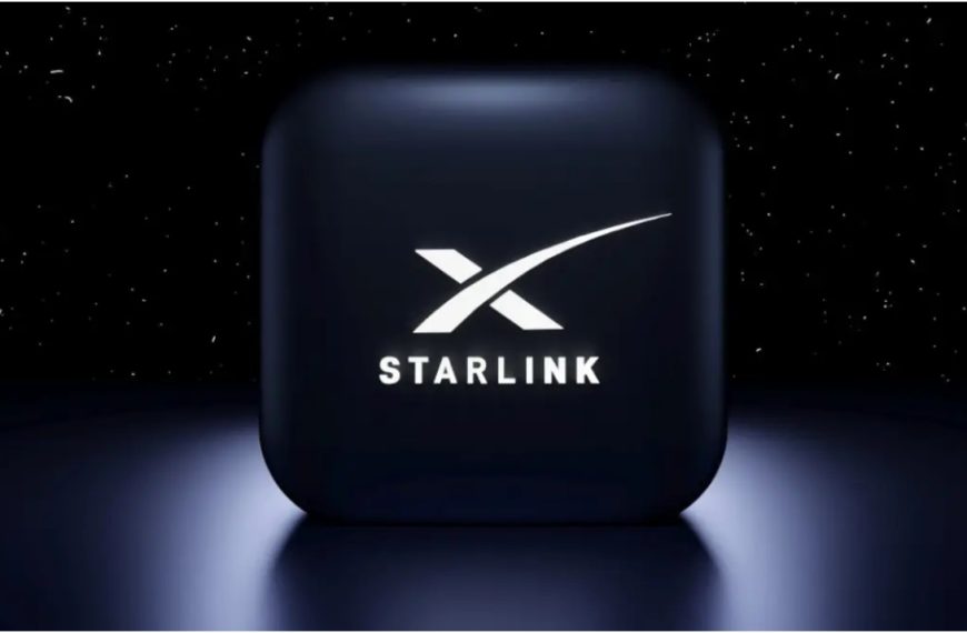 Starlink de Elon Musk contribuirá a la protección…