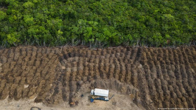 Caída en la deforestación ayuda a los objetivos climáticos de Brasil