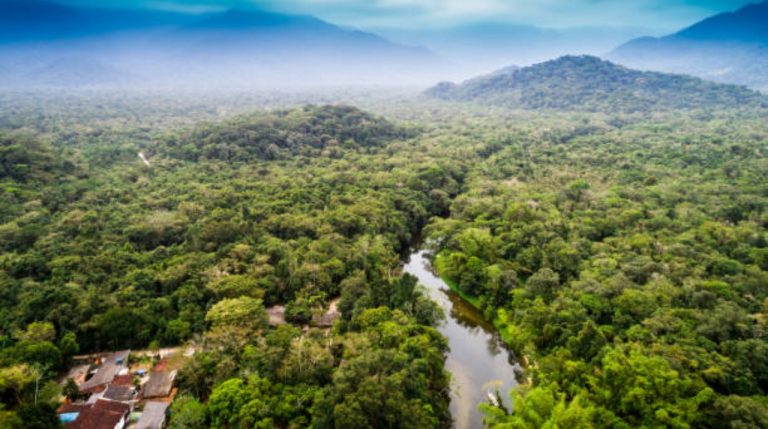 Fondo Amazonía recibirá donación de R$ 250 millones por parte de Noruega